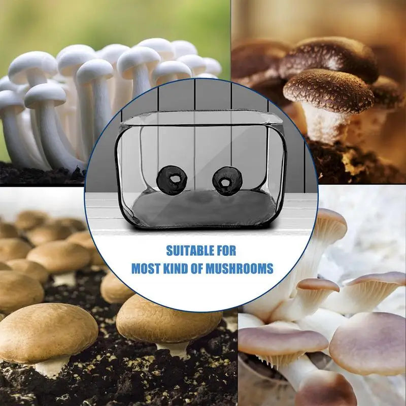 Still Air Box voor Mushroom Kweken - Duurzame PVC Tent voor Paddenstoelenkweek