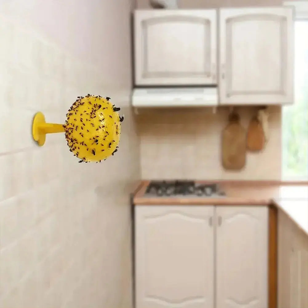 Sticky Trap Fruit Fly Catcher, Insecten Vlieg Vanger voor Keuken, Tuin en Buiten, Veilige Pest Repeller voor Wassen, Fruitvliegen en Gnats