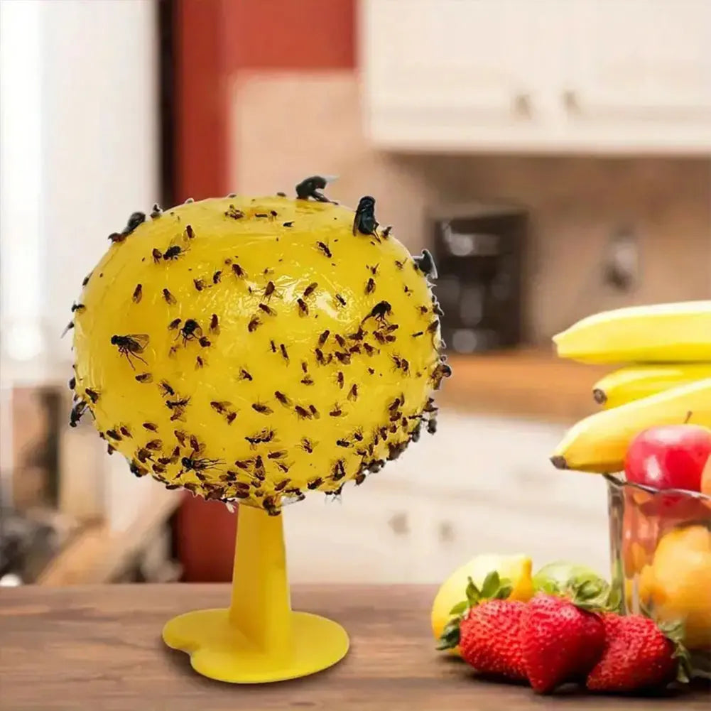 Sticky Trap Fruit Fly Catcher, Insecten Vlieg Vanger voor Keuken, Tuin en Buiten, Veilige Pest Repeller voor Wassen, Fruitvliegen en Gnats