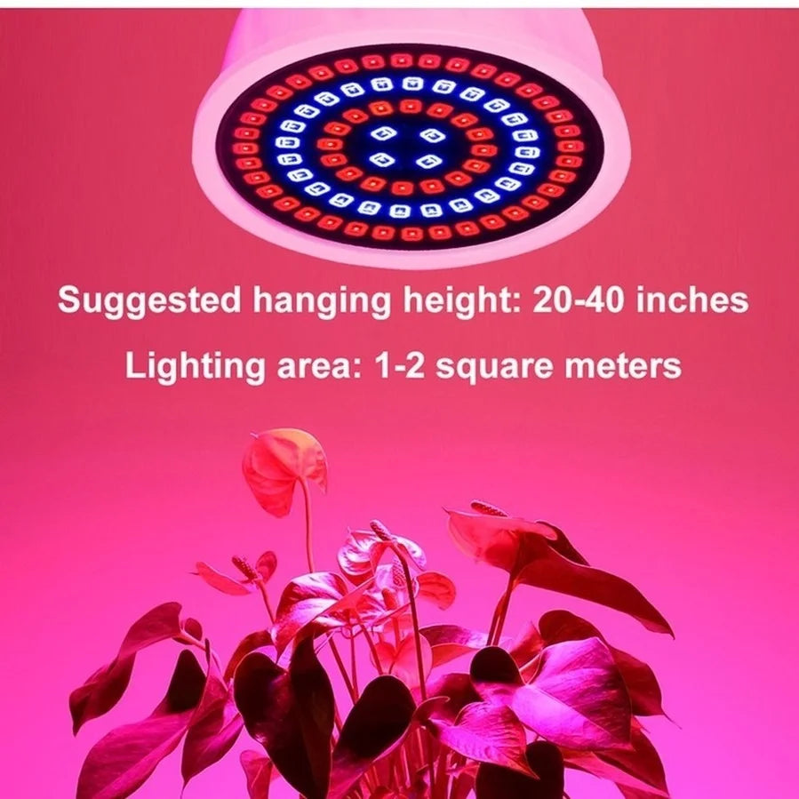 LED-Wachstums-Vollspektrumlampe – E27 E14 GU10 MR16 220 V Hydrokultur- und Wachstumslampe für Zimmerpflanzen