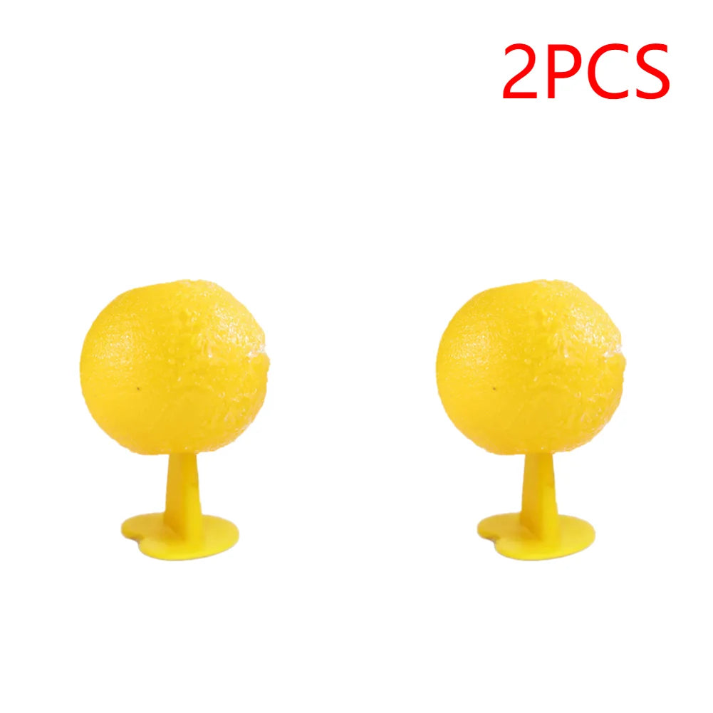 Sticky Trap Fruit Fly Catcher, Insecten Vlieg Vanger voor Keuken, Tuin en Buiten, Veilige Pest Repeller voor Wassen, Fruitvliegen en Gnats