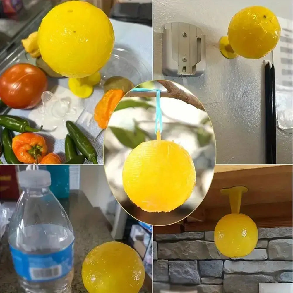 Sticky Trap Fruit Fly Catcher, Insecten Vlieg Vanger voor Keuken, Tuin en Buiten, Veilige Pest Repeller voor Wassen, Fruitvliegen en Gnats