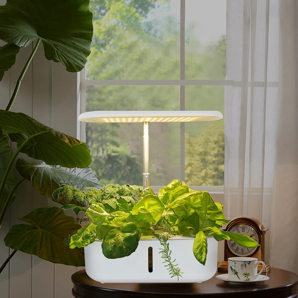 Plant Light with Fruit/Vegetable Mode, Touchscreen, 24W Full Spectrum, 2080lm, 104 LEDs, Water Pump and 3.6L Water Tank