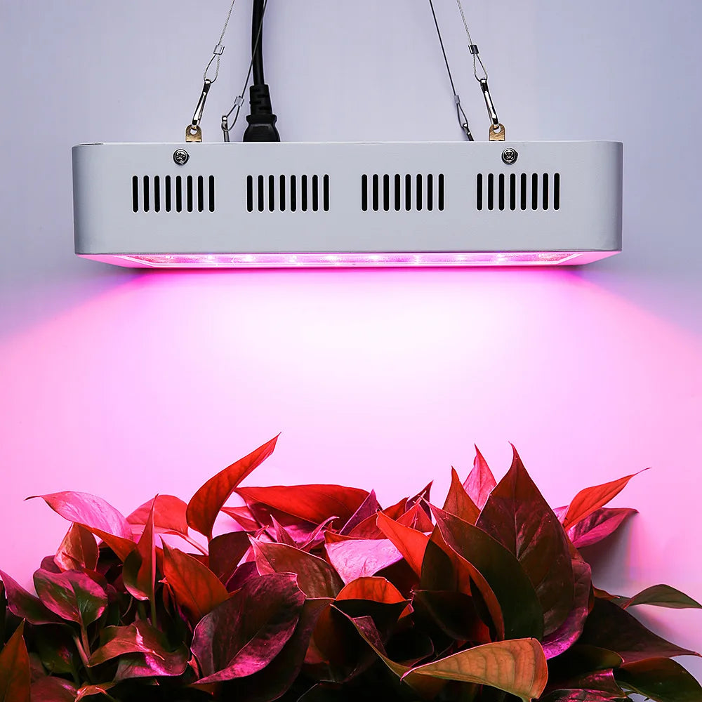 Complete Kweekset – Hydrocultuur Kweektent met LED Grow Light, Koolstoffilter & Ventilator – Indoor Kweek Systeem