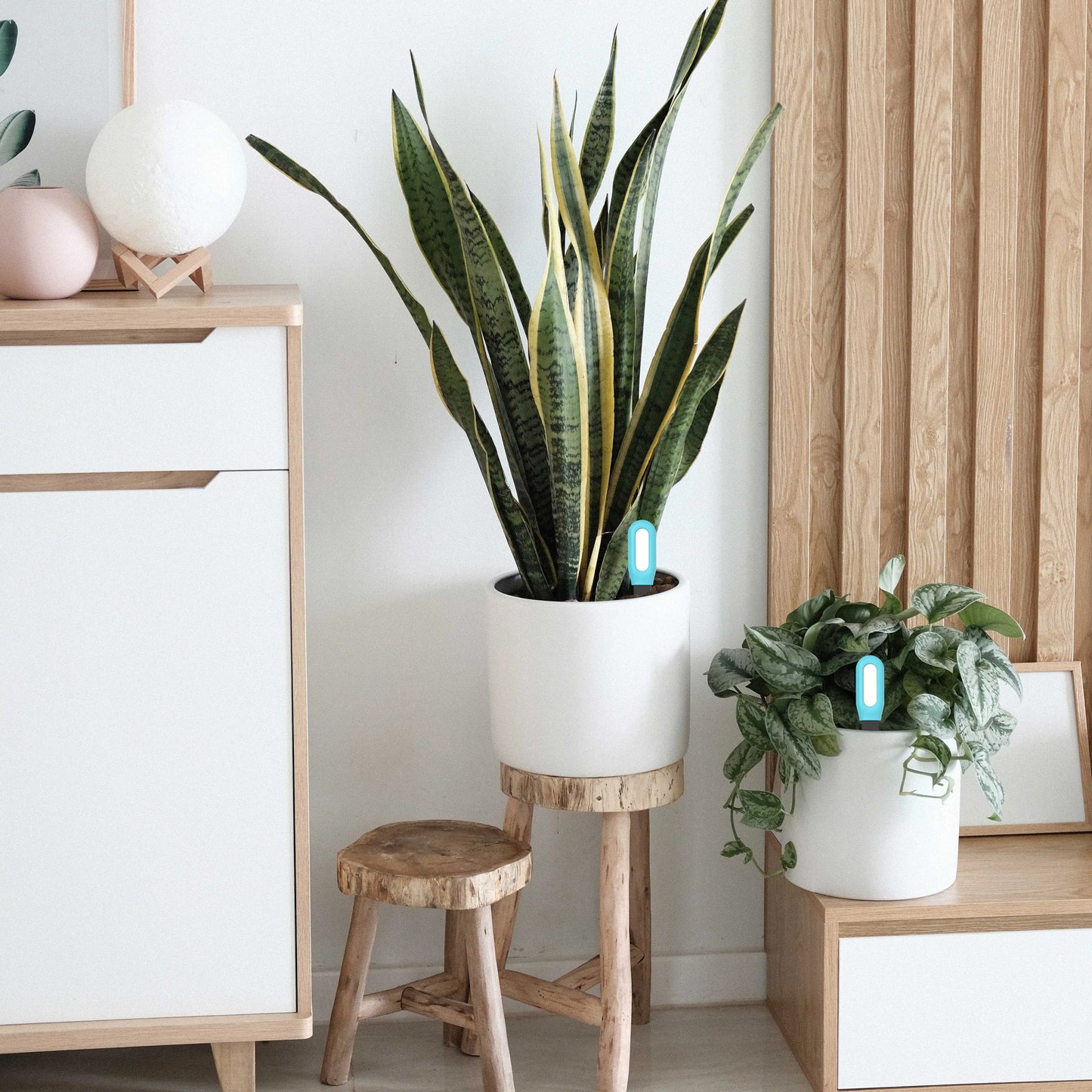 Tuya Zigbee Bodentester – Intelligenter Temperatur- und Feuchtigkeitsmonitor für Garten und Bewässerung