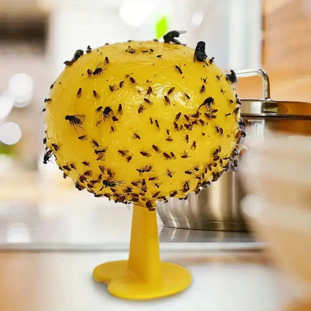 Sticky Trap Fruit Fly Catcher, Insecten Vlieg Vanger voor Keuken, Tuin en Buiten, Veilige Pest Repeller voor Wassen, Fruitvliegen en Gnats