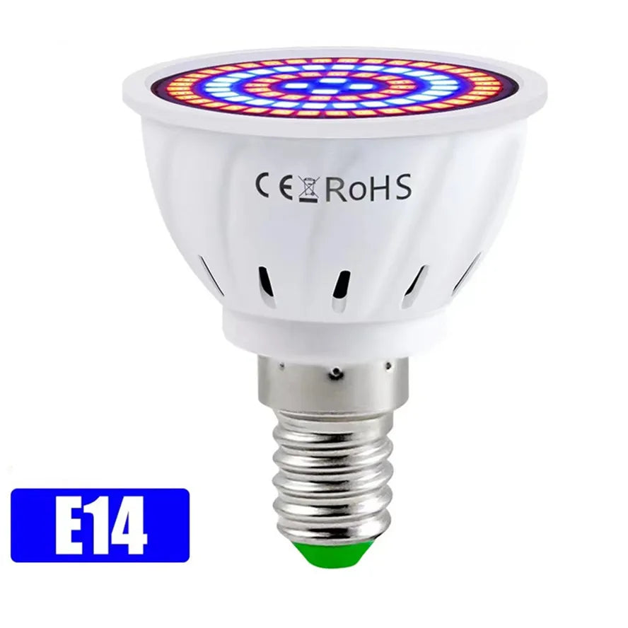 LED-Wachstums-Vollspektrumlampe – E27 E14 GU10 MR16 220 V Hydrokultur- und Wachstumslampe für Zimmerpflanzen