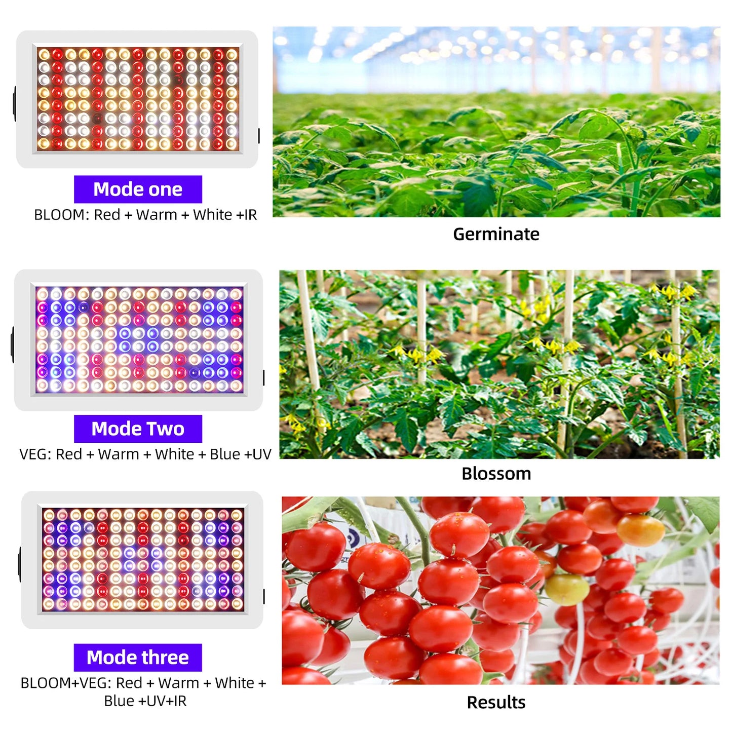 LED Groeilampen voor Binnenplanten - Volledig Spectrum, 3 Modi, Timer en Afstandsbediening