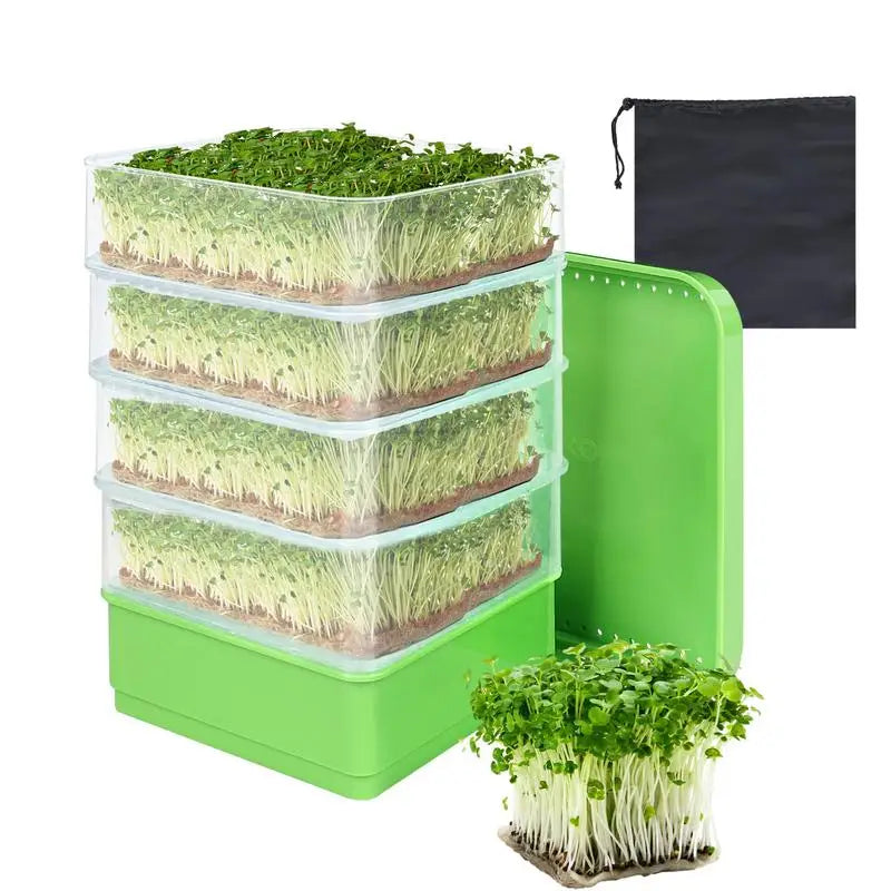 Sprout Dish Growing Tray Kit – Umweltfreundliches Sprouting Tray mit Verdunkelungsabdeckung für Microgreens und Bohnen