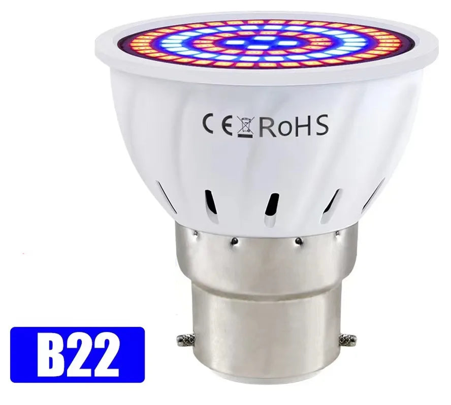 LED-Wachstums-Vollspektrumlampe – E27 E14 GU10 MR16 220 V Hydrokultur- und Wachstumslampe für Zimmerpflanzen