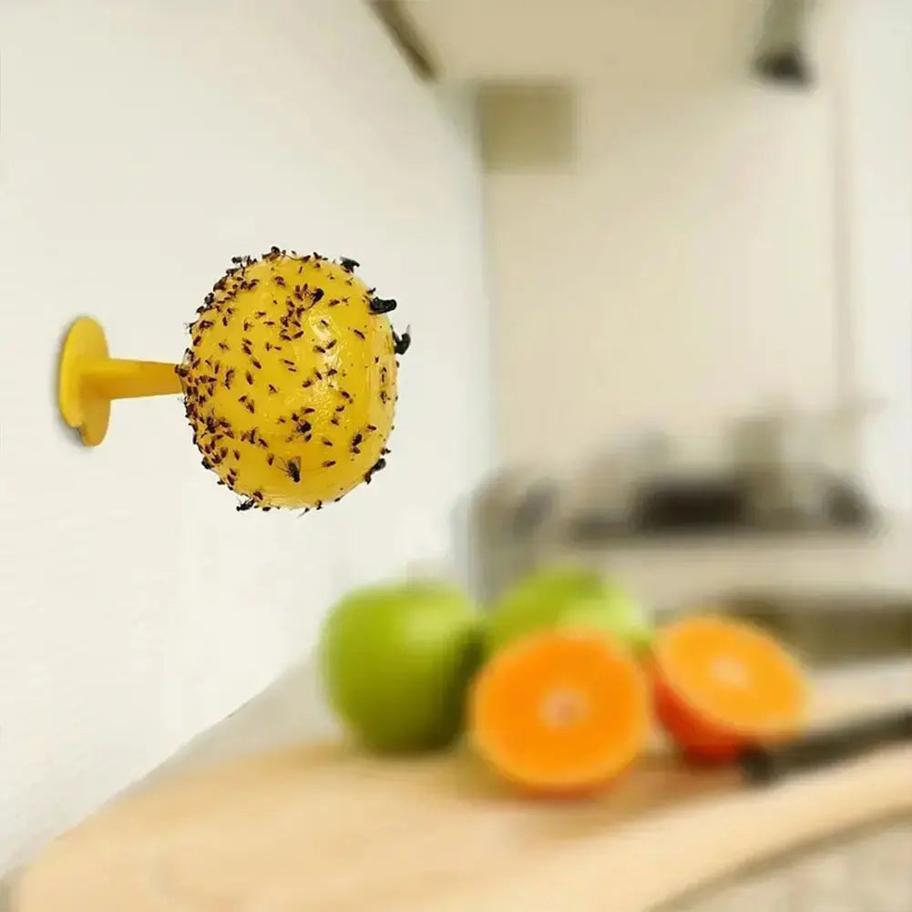 Sticky Trap Fruit Fly Catcher, Insecten Vlieg Vanger voor Keuken, Tuin en Buiten, Veilige Pest Repeller voor Wassen, Fruitvliegen en Gnats