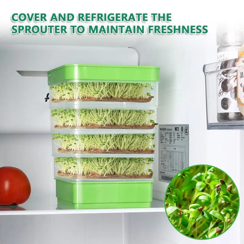 Sprout Dish Growing Tray Kit – Umweltfreundliches Sprouting Tray mit Verdunkelungsabdeckung für Microgreens und Bohnen