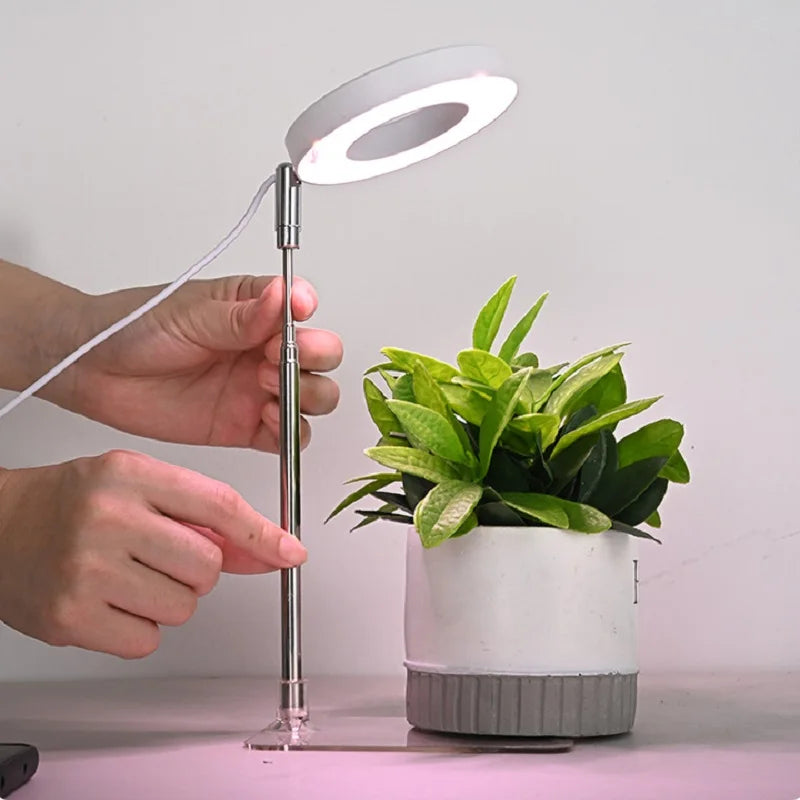 LED-Wachstumslicht – Dimmbares Vollspektrum-Wachstumslicht mit Timer und einstellbarer Höhe, ideal für Zimmerpflanzen und Kräuter