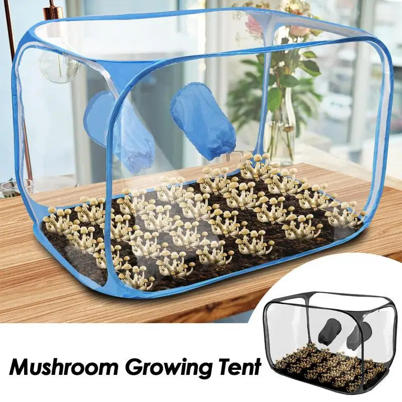 Still Air Box voor Mushroom Kweken - Duurzame PVC Tent voor Paddenstoelenkweek