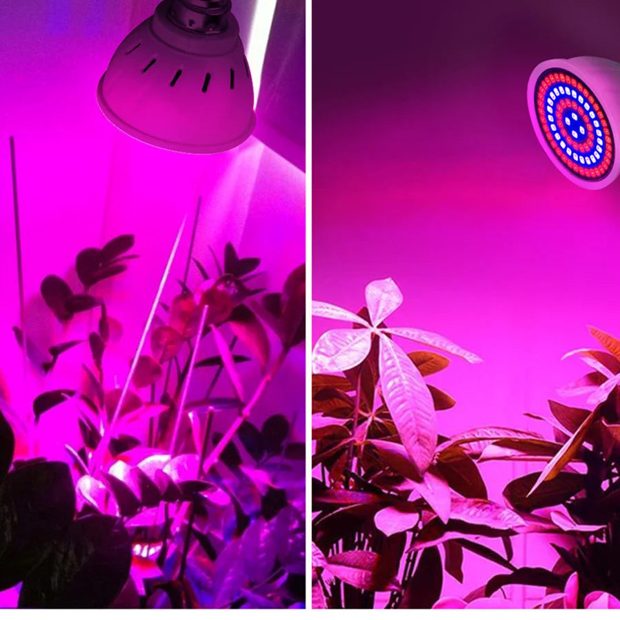 LED-Wachstums-Vollspektrumlampe – E27 E14 GU10 MR16 220 V Hydrokultur- und Wachstumslampe für Zimmerpflanzen