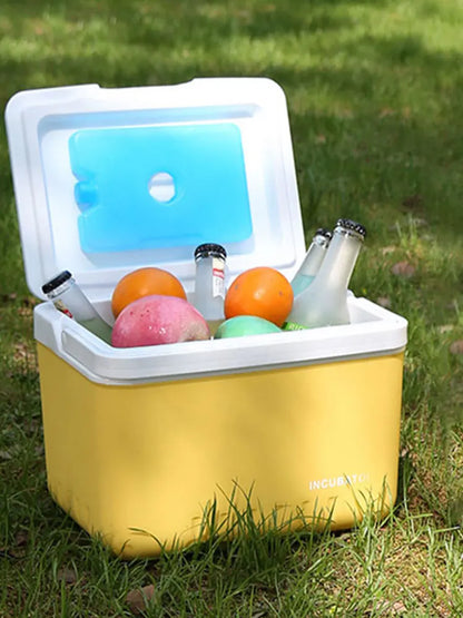 6L Geïsoleerde Koelbox – Draagbare Hard Cooler voor Camping, Picknick, Strand en Vissen