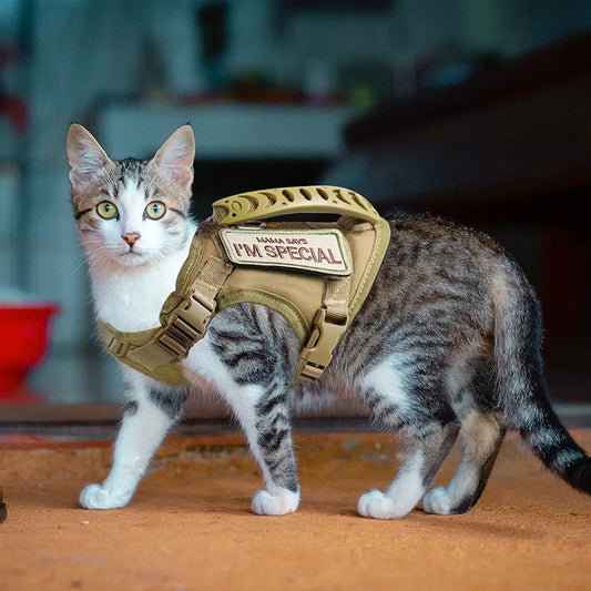 Tactisch Kattenharnas – Escape Proof & Verstelbaar – Ademend Mesh Vest met Handgreep – Voor Grote Katten & Kleine Honden