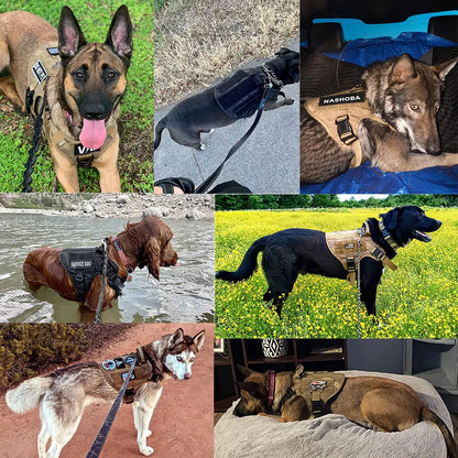 Hundegeschirr und Leine-Set – Training und Spaziergänge für Deutsche Schäferhunde, Malinois und große Hunde