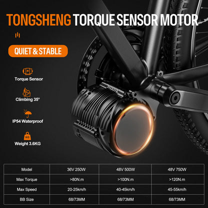 Tongsheng TSDZ2B/TSDZ8 Mittelmotor-E-Bike-Kit – 36 V/48 V, 250 W/500 W/750 W, Drehmomentsensor, bürstenloser Motor, inkl. 48V 25Ah/20Ah Batterie