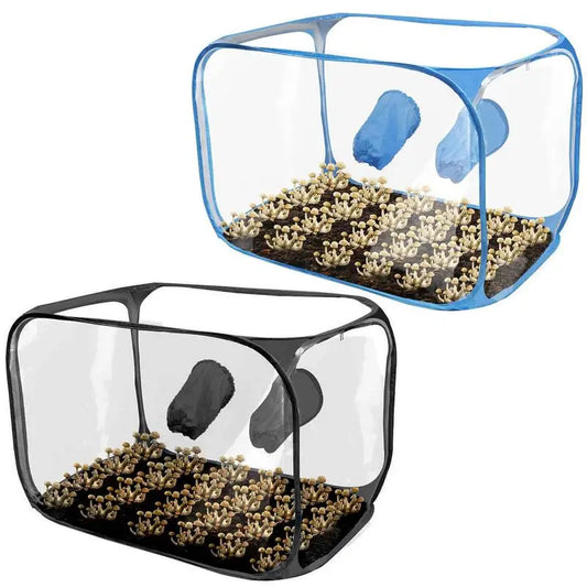 Still Air Box für den Pilzanbau – Robustes PVC-Zelt für den Pilzanbau